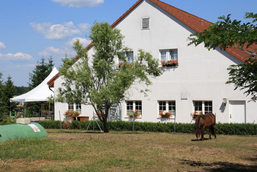 Hotel-Pension Am Muehlberg Lübbenau Pokoj fotografie